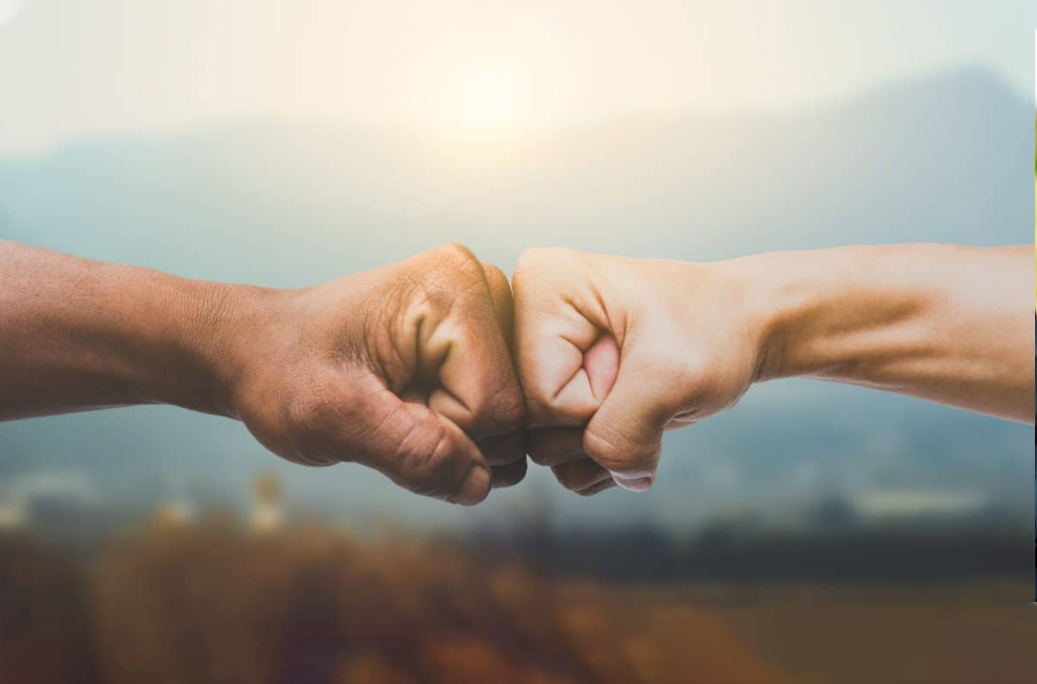 Family Owned & Operated